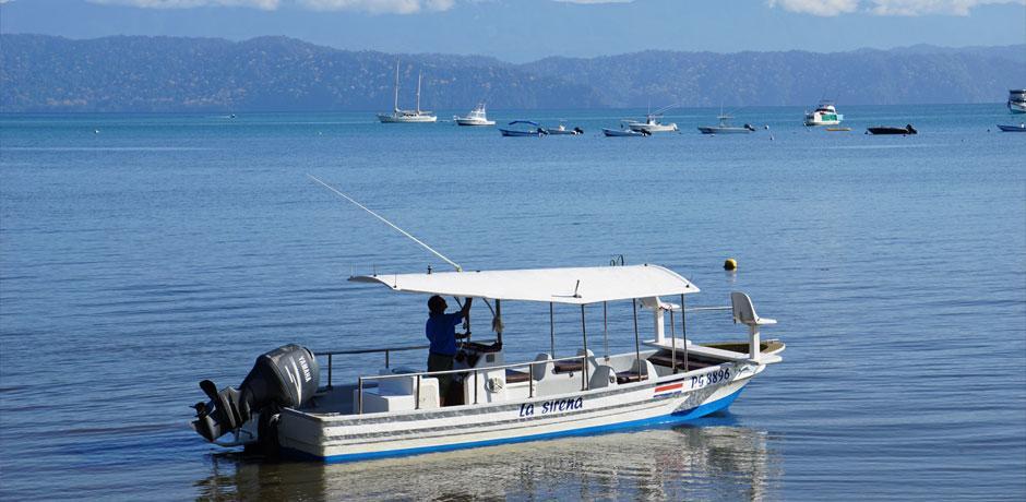 Cabinas Jimenez Puerto Jiménez Buitenkant foto